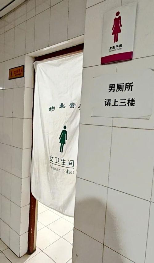 女厕小便视频,隐私边界与公共道德的碰撞